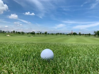 Golf ball on the green for golf course concept