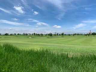 Golf ball on the green for golf course concept