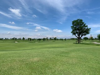 Golf ball on the green for golf course concept