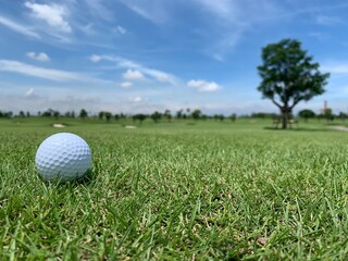 Golf ball on the green for golf course concept