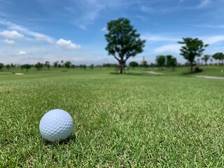 Golf ball on the green for golf course concept