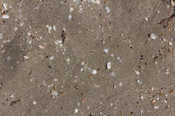 Texture background of the sand near the water on the beach