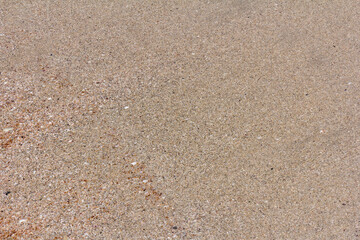 Fototapeta na wymiar Texture background of the sand near the water on the beach