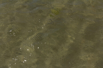 The background of sand with water  into summer with space for text.