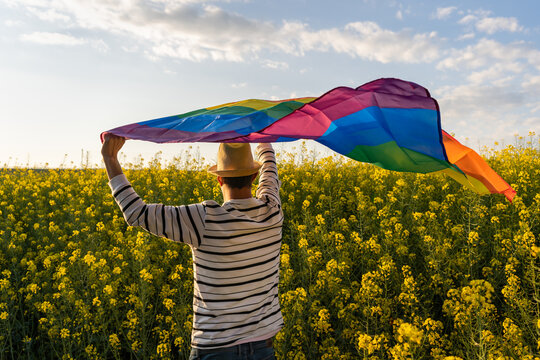 Man waving rainbow flag in yellow flowers field at sunset.Back view of male holding gay pride flag, LGBT concept.Summer sunny day celebration.