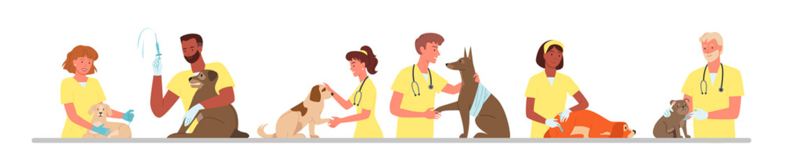 Veterinary clinic hospital, healthcare service, visit to veterinarian doctor, vet checkup