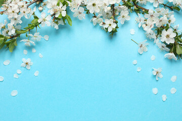 Blossoming spring tree branches as border on turquoise background, flat lay. Space for text