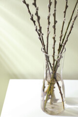 Glass vase with pussy willow tree branches on white table near light green wall
