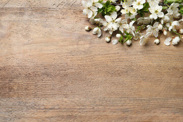 Obraz na płótnie Canvas Blossoming spring tree branches as border on wooden background, flat lay. Space for text