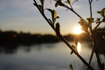 Реки России!