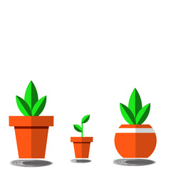 plant in pot , Tree icons in pots Vector illustration