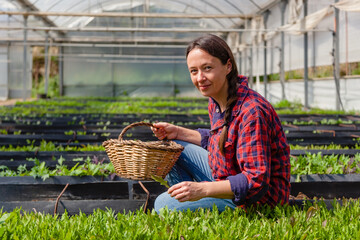 Natural female worker in nursery greenhouse on organic farm