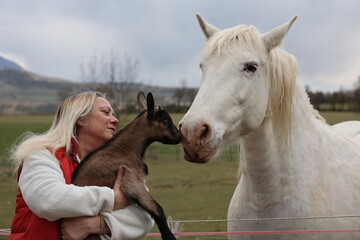 femme blonde à la ferme avec un chevreau et un cheval - 430414595
