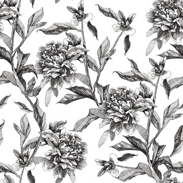 Monochrome black and white seamless pattern outline flowers peony. Design for textiles, fabrics, packaking, wallpapers, home decoration
