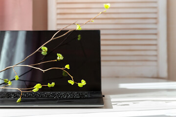 The laptop is turned off and sits on the table in the sunlight, twigs with green leaves above the keyboard. Digital Detox concept