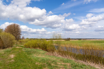 Fototapeta premium Wiosna w Dolinie Górnej Narwi, Podlasie, Polska