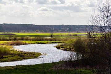 Wiosna w Dolinie Górnej Narwi, Podlasie, Polska