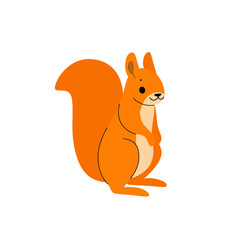 Cute squirrel - cartoon animal character. Vector illustration in flat style isolated on gray background.