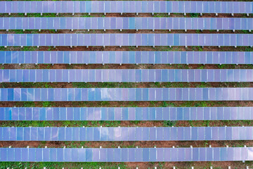 Aerial view of solar panels or solar cells on the roof in farm. Power plant with green field, renewable energy source in Thailand