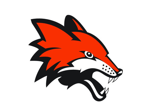 red fox head