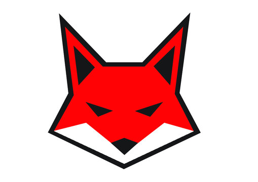 red fox head