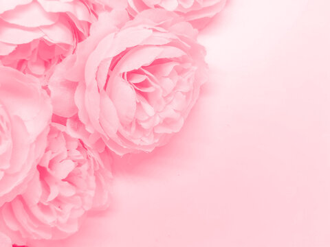 Pink Flower Background Hd Buy Now Sale 53 OFF wwwacananortheastcom
