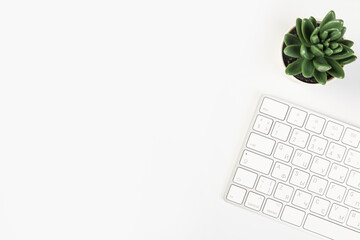 Aluminum keyboard of a modern computer with a green plant in a flowerpot close up on a white background.