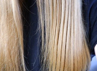 Fototapeta premium Hair. Split hair. Care. Hair care.