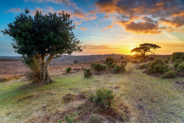 Fototapeta na wymiar Beautiful sunset in the New Forest at Bratley View