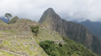 view from the top of the mountain with trees and green gram