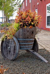 Fototapeta na wymiar Barrel used as a flower pot in Astoria Oregon