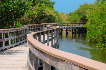 Fototapeta premium Curvy Wooden Boardwalk over the Water through the Park