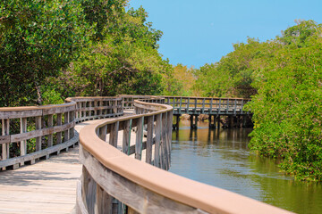 Fototapeta na wymiar Curvy Wooden Boardwalk over the Water through the Park