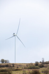 wind turbines green renewable electric energy