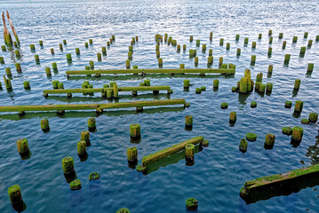 Remains of old piers in the Columbia River in Astoria - Oregon