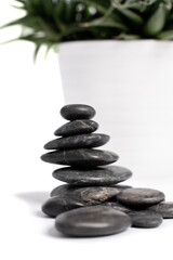 Close up of stacked black pebbles or zen stones and a white succulent flowerpot, isolated on white background. Harmony, balance and meditation, spa, massage, relax concept.
