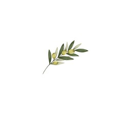 Obraz premium illustration of a green olive branch on a white background