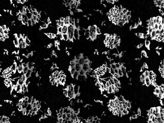 unique animal skin pattern	