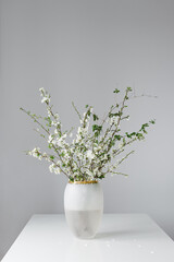 Fototapeta na wymiar Photo of a white bouquet of cherry branches in blossom period with wonderfull white flowers and fresh green leaves in modern glass vase on a white table in minimalistic style home design indoors