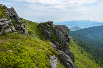 Carpathian mountains with grassy slopes and rocks on Pikuy mount. Beautiful mountain landscape in summer