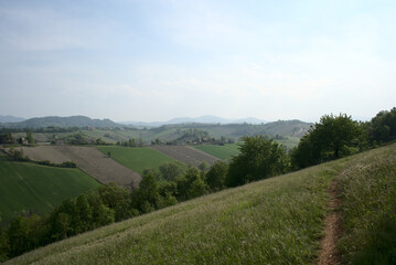 Fototapeta na wymiar Hills near Piacenza. Spring, Flowers and Colours.