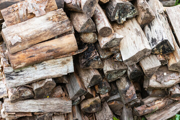 Pallet of old firewood. Firewood that has been lying for a long time and mold has appeared.