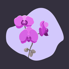 orchid background vector idea for design