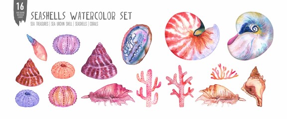 Watercolor seashells, coral and sea ​​urchin set. Colorfull set for design textile, wallpapers, prints and banners.