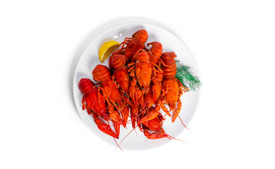 Boiled crayfish with dill and lemon on white plate isolated on a white background.