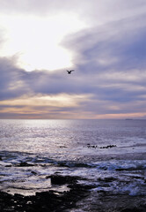 Beach Sunset On A Beautiful Calm Evening 