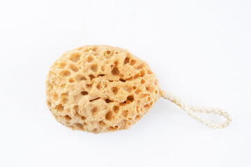 sponge isolated on white background, top view. the concept of gentle cleansing of the face or body. latex free. hydrophilic polyurethane foam.