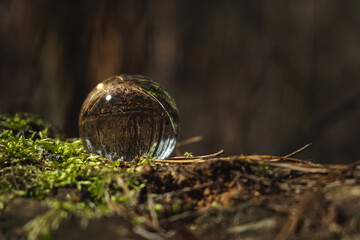 Environment concept, a crystal ball lies on a moss in the forest, reflection of the forest. concept and theme of nature, environmental protection. relaxation. glass material.