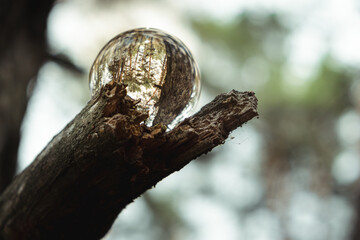 Environment concept, a crystal ball lies on a moss in the forest, reflection of the forest. concept and theme of nature, environmental protection. relaxation. glass material.