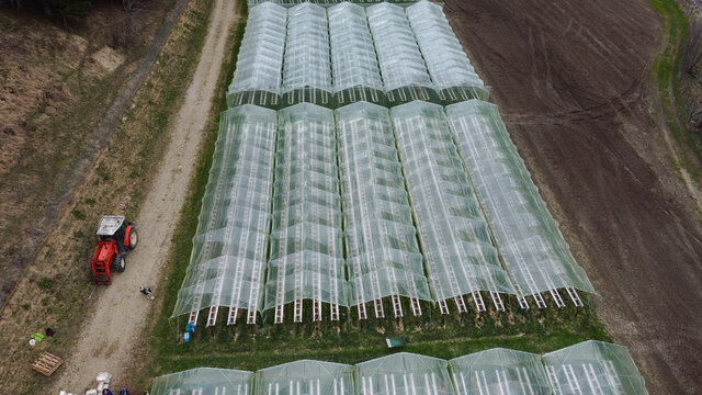 serra coltivazione coltivare frutta verdura ortaggi coltivazioni